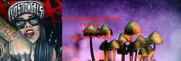 не бодяженный Осинники