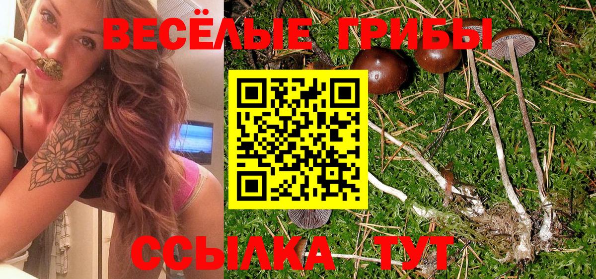 Фрязино  Псилоцибиновые грибы мухоморы  Вход с VPN 
