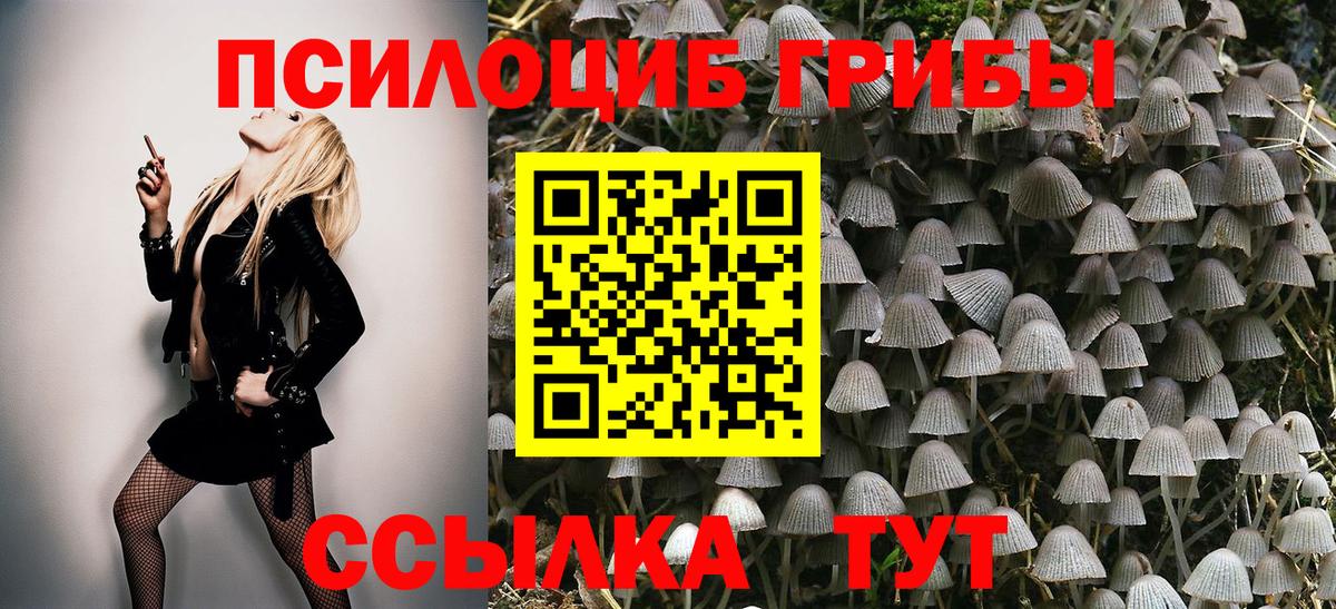 Псилоцибиновые грибы ЛСД Фрязино